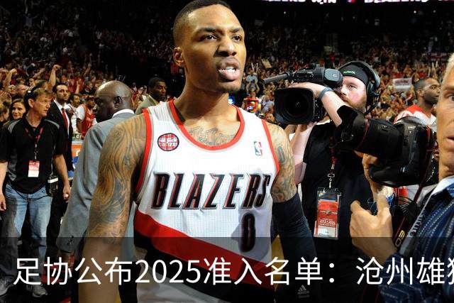 足协公布2025准入名单：沧州雄狮、广州队无缘